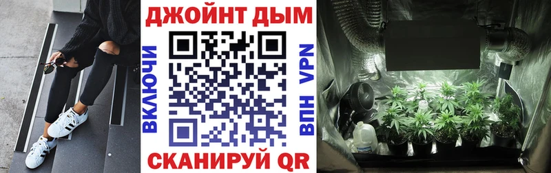 Каннабис гибрид  Пустошка 